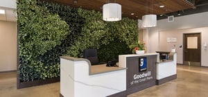 Modern entry receptionist desk with faux plant feature wall