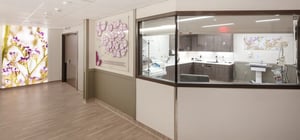 Hallway view of nurses station overlooking baby room in relaxing decorated corridor.