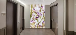 Serene hospital OB corridor decor featuring a macro shot of flowers.